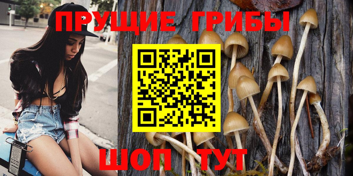 Псилоцибиновые грибы MAGIC MUSHROOMS  Вход с VPN  Мытищи 