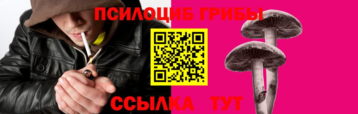 Галлюциногенные грибы ЛСД Мытищи